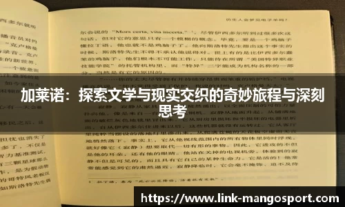 加莱诺：探索文学与现实交织的奇妙旅程与深刻思考