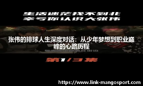 张伟的排球人生深度对话：从少年梦想到职业巅峰的心路历程